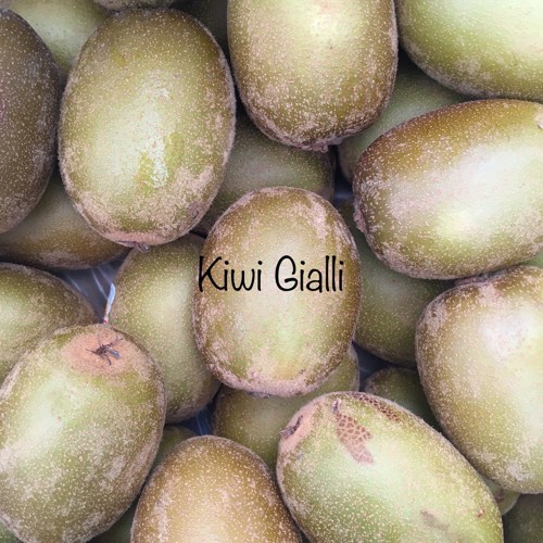 Kiwi Gialli